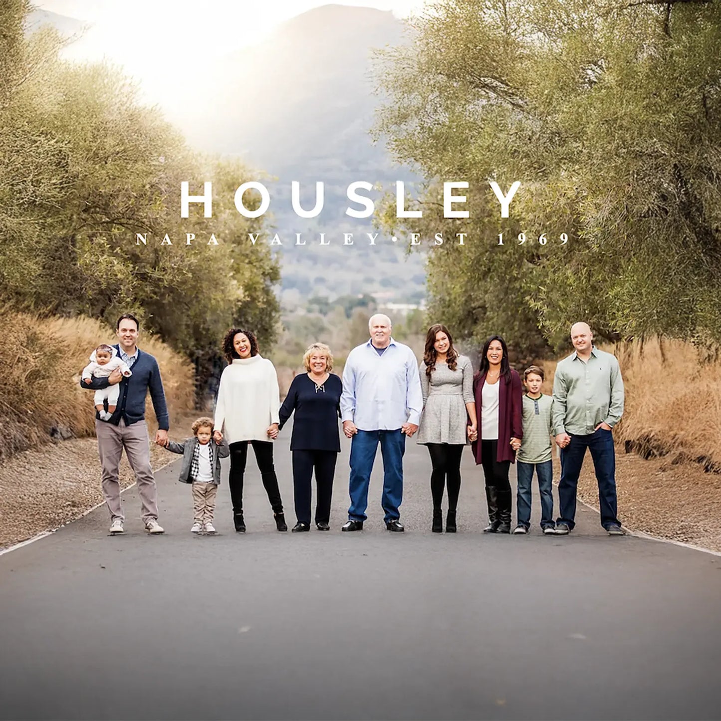 Housley's Century Oak Winery - Judy's Vineyard Cabernet Sauvignon 2017 - - Rebel Vin
