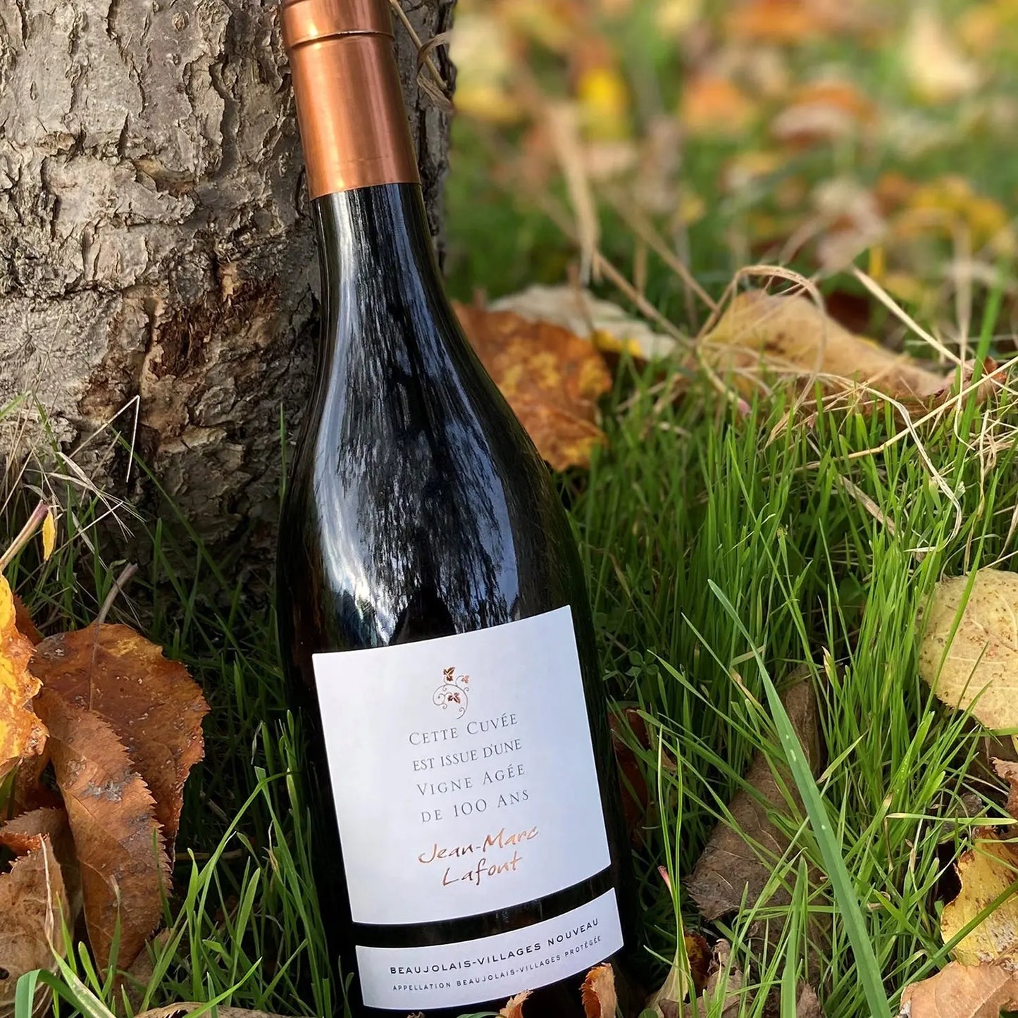 Jean Marc Lafont - Cuvée 100 Beaujolais Village Nouveau 2024 - - Rebel Vin