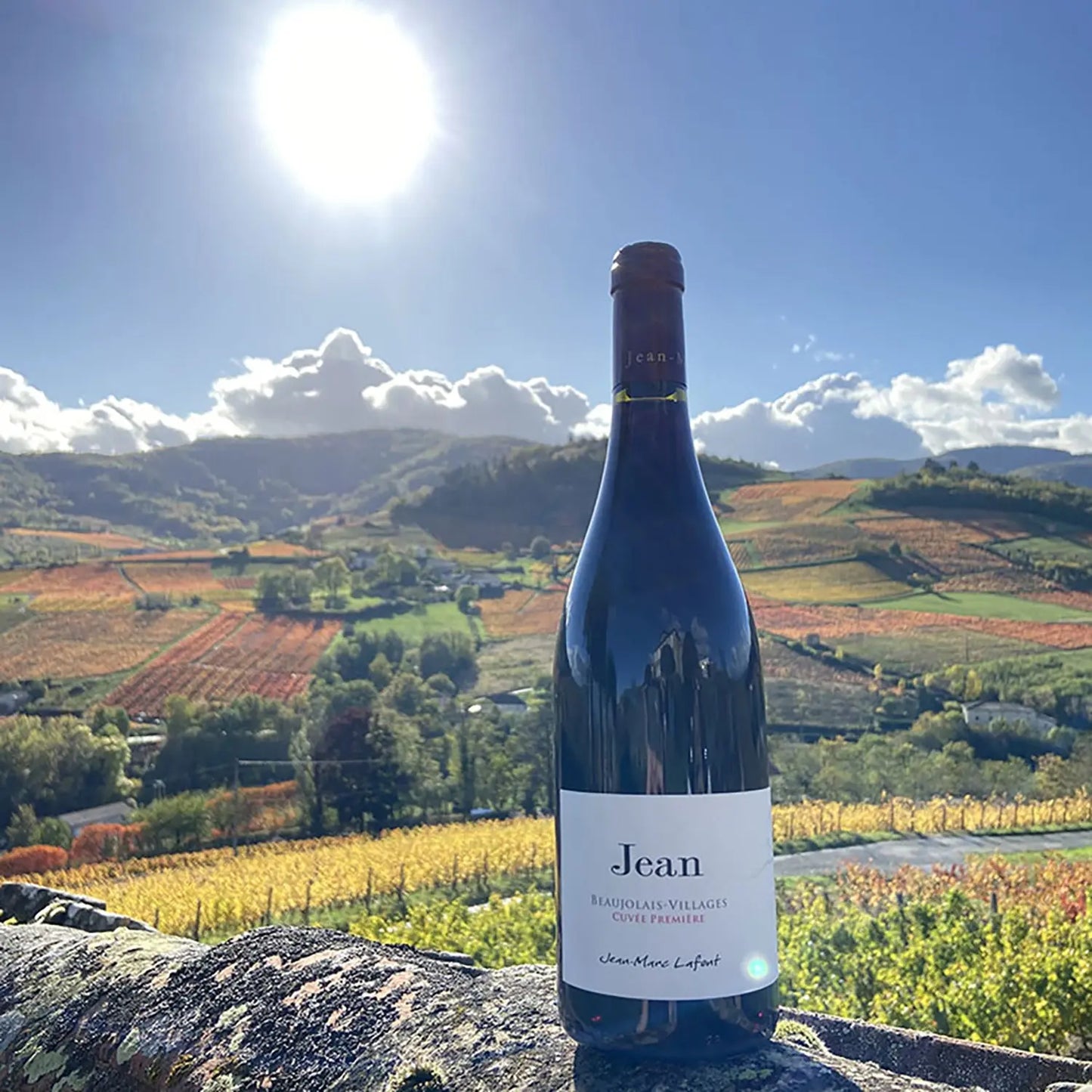Jean Marc Lafont - Cuvée Jean Beaujolais Villages Nouveau 2024 - - Rebel Vin