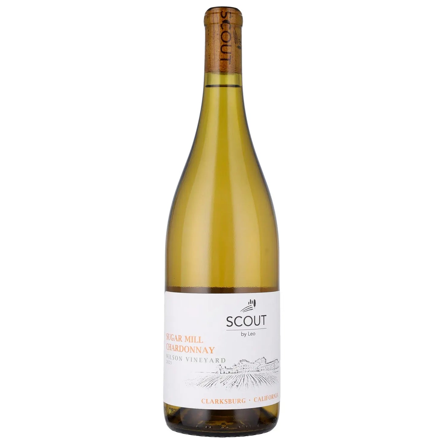 Scout by Leo - Scout Chardonnay 2023 - - Rebel Vin