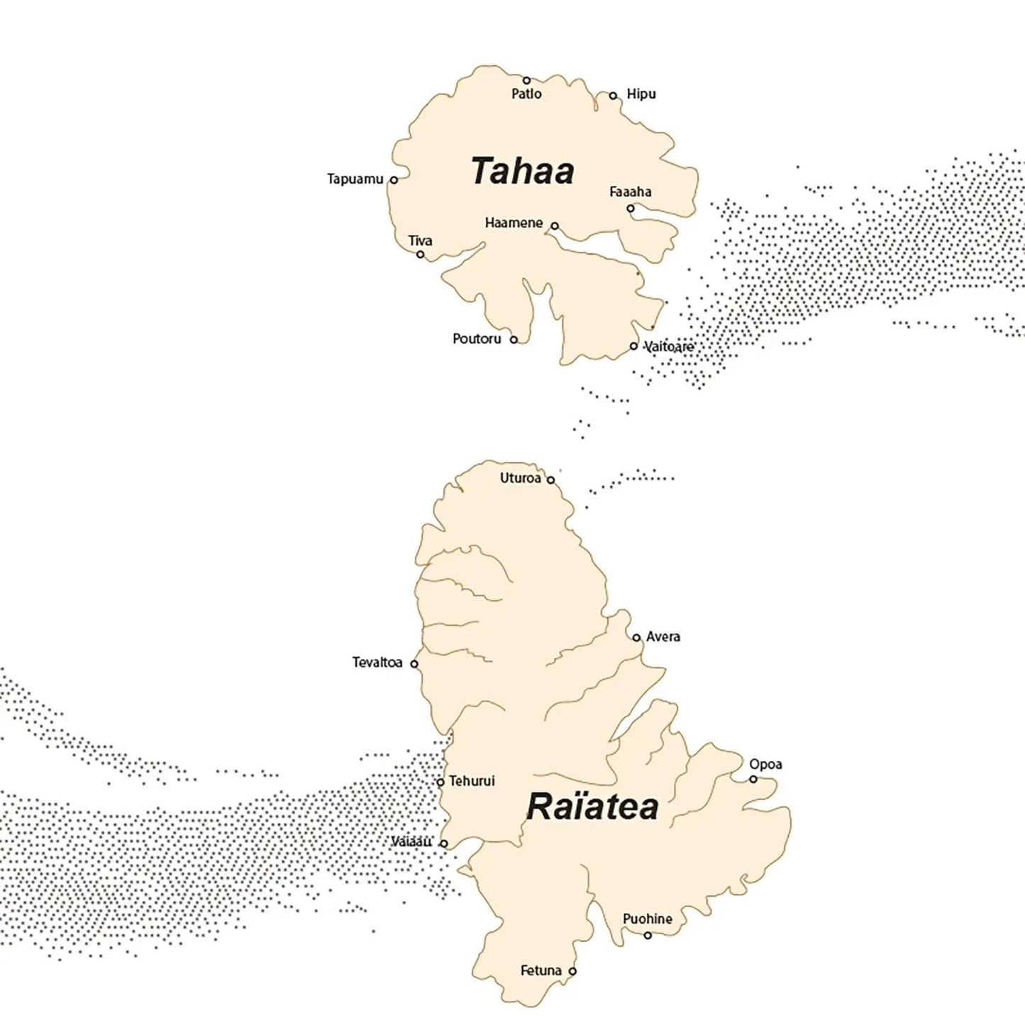 Valrhona x Norohy - Vanilla Tahiti Valrhona x Norohy - - Rebel Vin