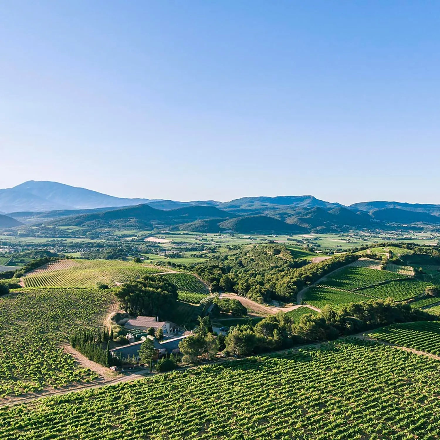 Domaine des Escaravailles - Les Antimages 2022 -  - Rebel Vin