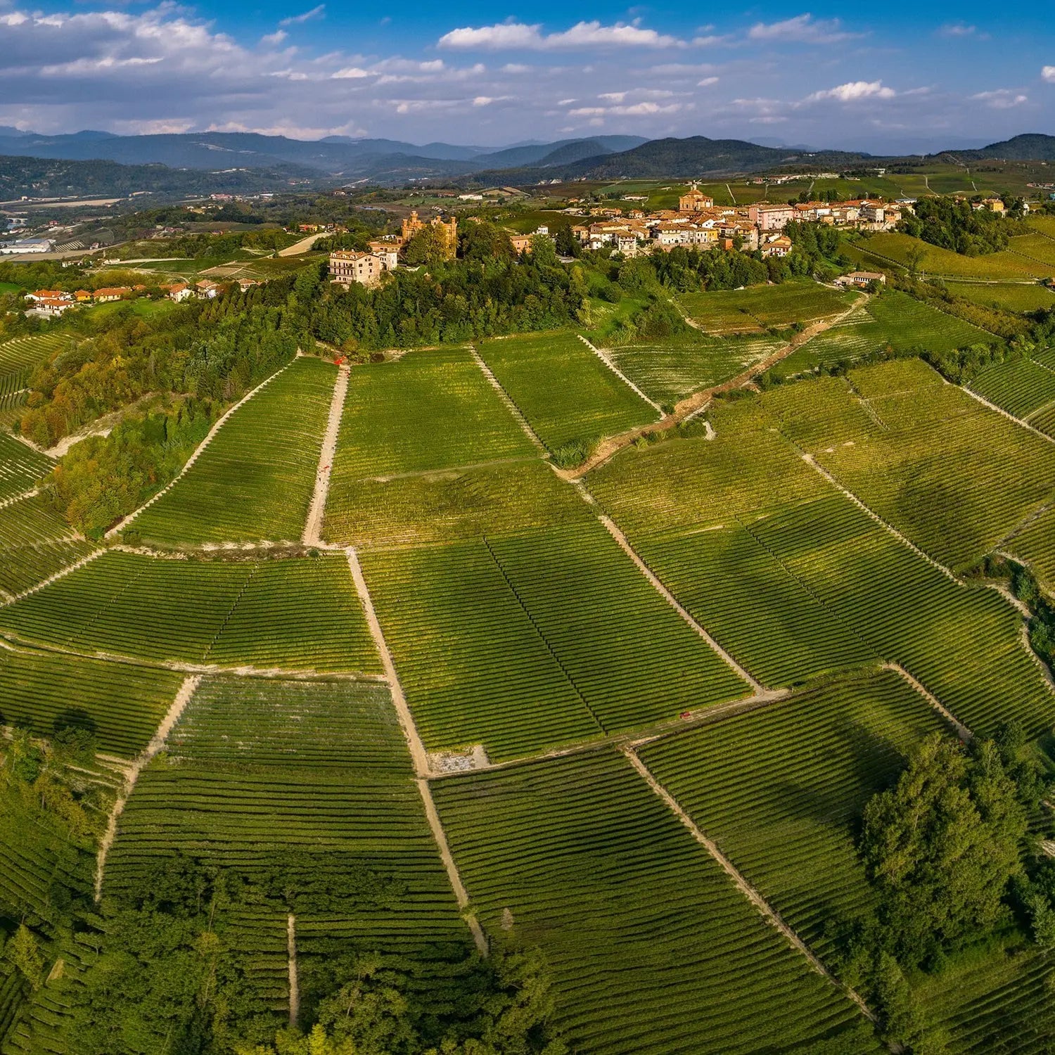 Le Ginestre - Barolo Sottocastello di Novello 2019 -  - Rebel Vin