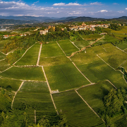 Le Ginestre - Barolo Sottocastello di Novello 2019 -  - Rebel Vin