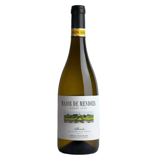 Maior de Mendoza - Blanco Crianza Sobre Lías 2019 -  - Rebel Vin
