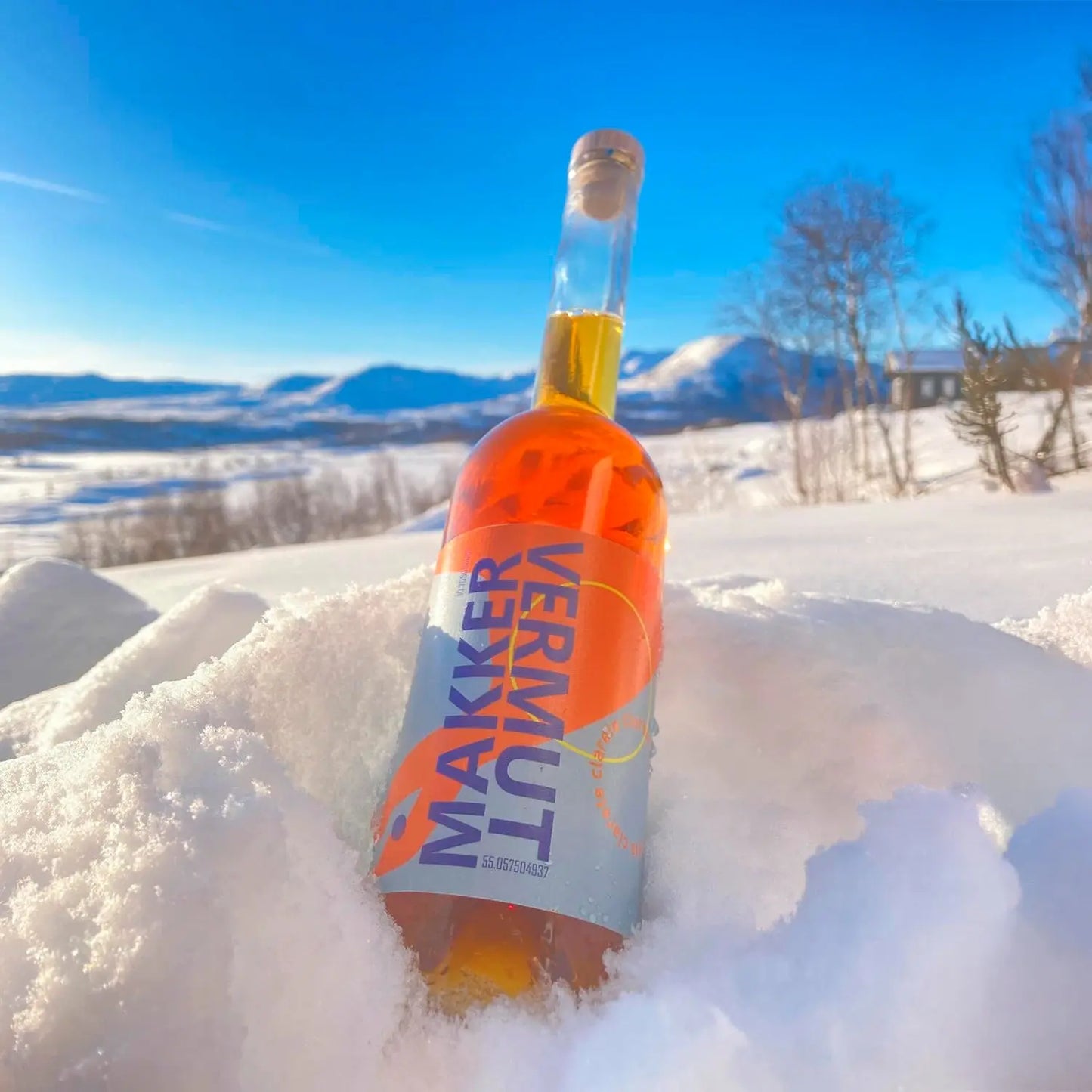 Vildskab - Makker Vermouth -  - Rebel Vin